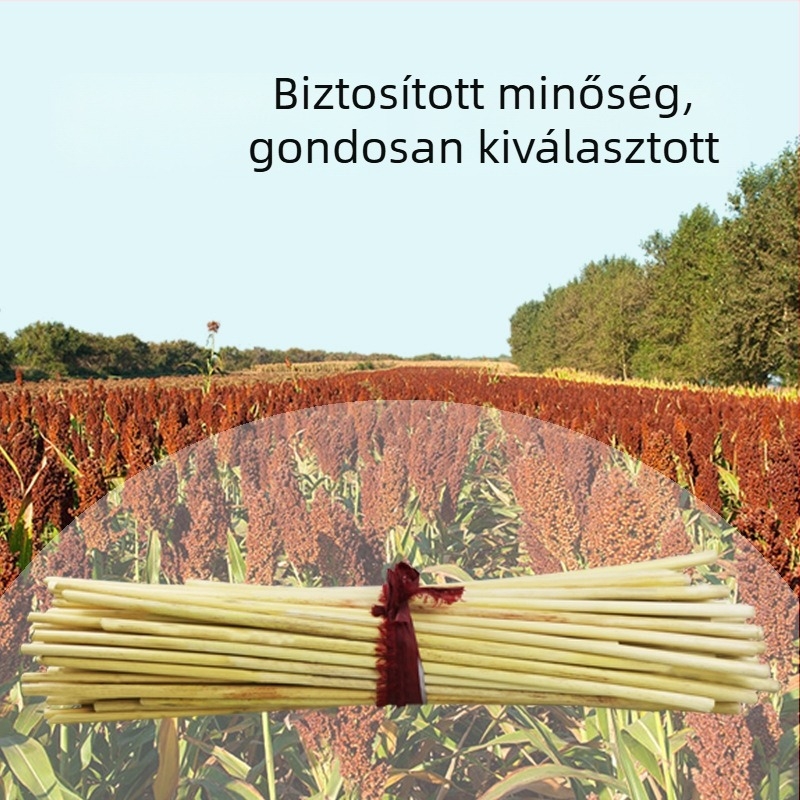Kézműves anyagok: bambusz szövésű és fa alkatrészek zenei doboz projektekhez.