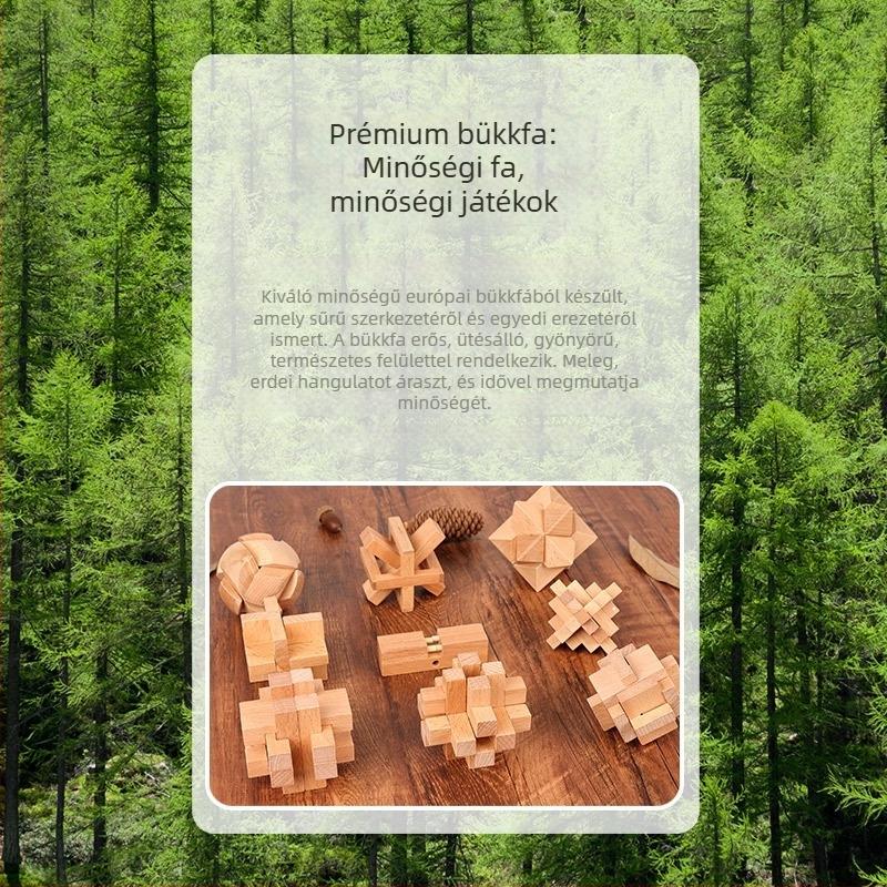 Kongming zár és Luban zár puzzle készlet – gyermekeknek szóló fa oktató kirakós játékok, teljes készlet
