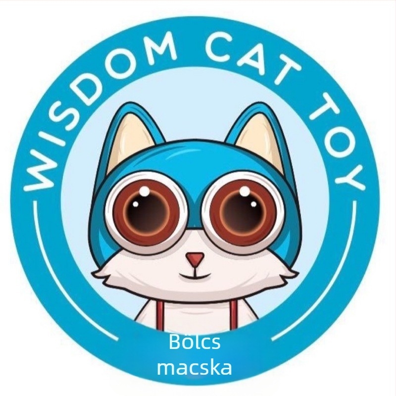 Vízipisztoly gyerekeknek – ABS anyag, vízsugár funkció, Smart Cat márka, 4–6 éveseknek