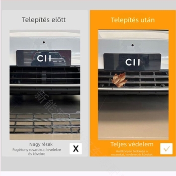 Leapmotor C11 elülső hűtőradiátor védelme (C11, C16, T03, B10) Levehető autóalkatrész, szerelés nélkül