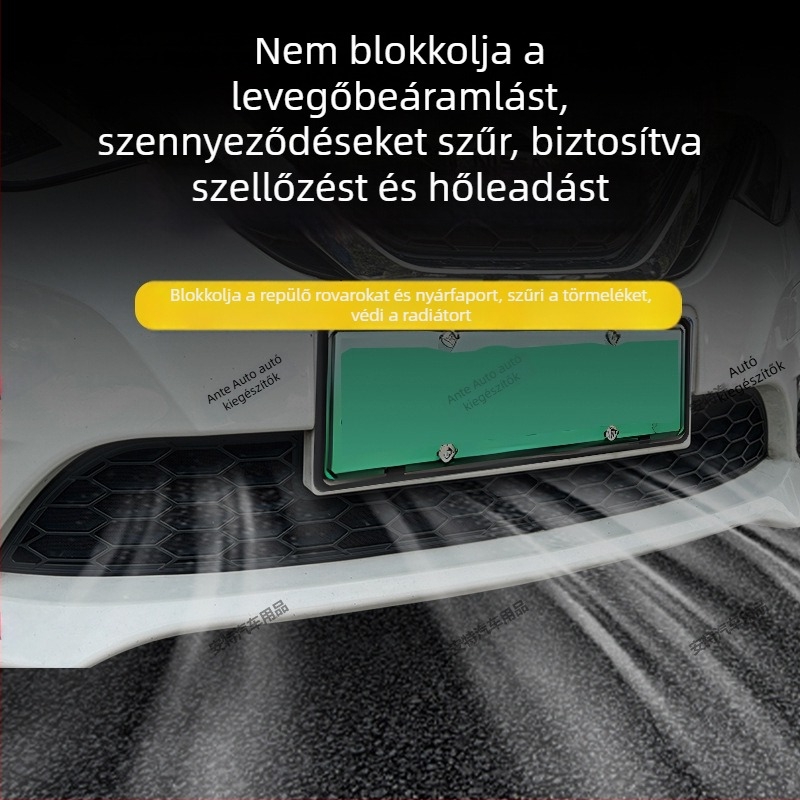 ABS anyagú szúnyogháló Buick GL8-hoz, csattos felszerelés, porvédett