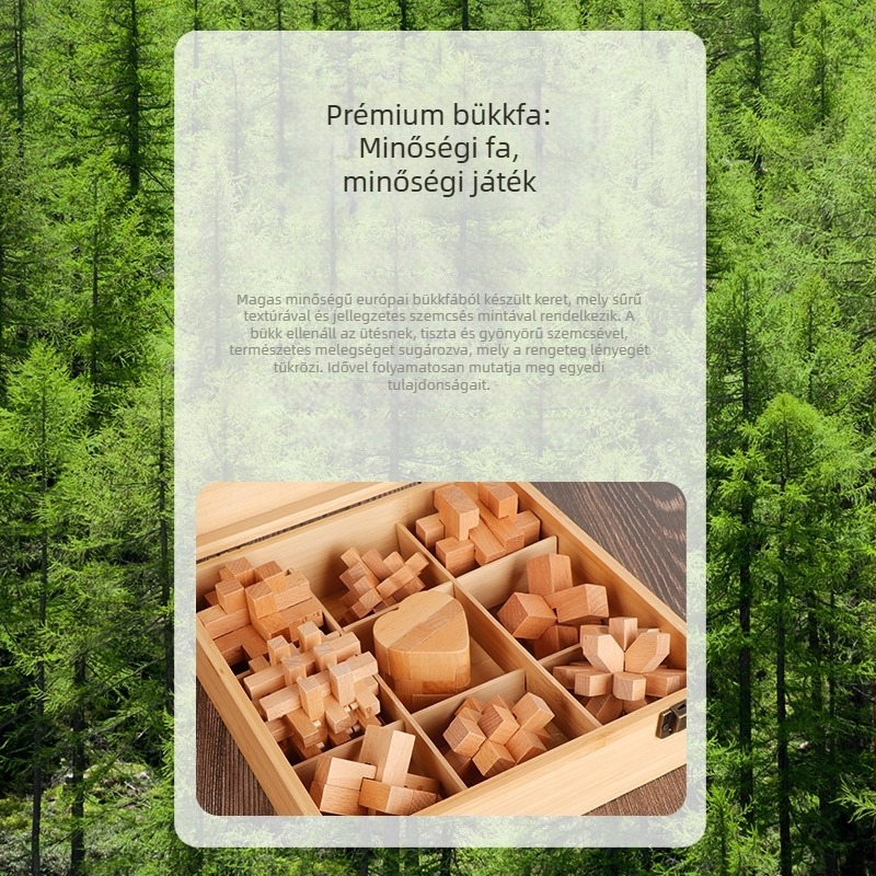 Kongming Lock fa kilenc darabos készlet – oktató játék 4–6 éves gyermekeknek