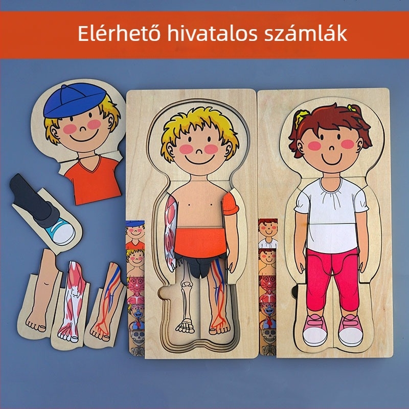 3D fából készült többszintes emberi test puzzle gyerekeknek, 4–6 évesek, testreszabható térképezési dizájn