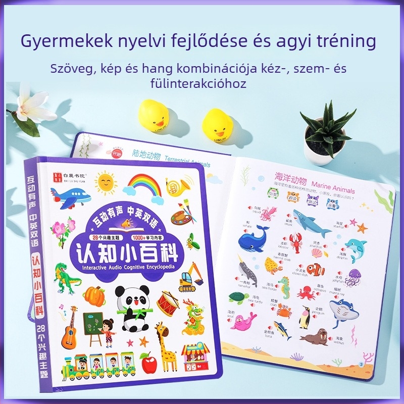 Pontolvasó toll – interaktív oktatási eszköz képek felismeréséhez beszéd/hang kísérettel, érintésérzékeléssel; Liakkuplum?; 4–6 éveseknek.