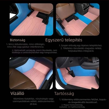 Bőr autópadló szőnyegek speciális autóhoz, Da Sheng márka, testreszabható, opciók Leather Foot Mat, Silk Loop Foot Mat, Lawn Foot Mat