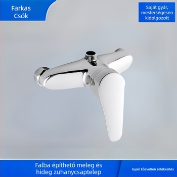 Termosztátos zuhanykeverő, falra szerelt, réz test, Celo zuhanycsap