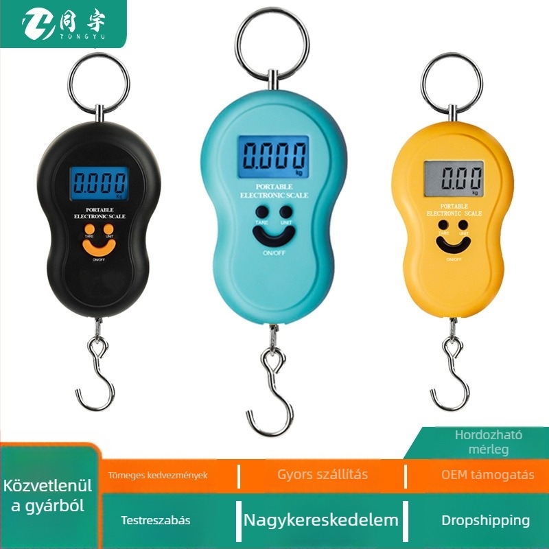 TY-01 Hordozható kézi elektronikus mérleg, magas pontosságú mini kültéri horgász mérleg kampóval