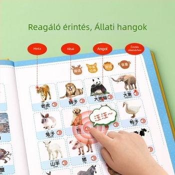 Beszélő korai oktatási hangoskönyv olvasó gép (Márka Starship; Funkció: újratölthető, zenét/hangot lejátszik; Anyag: papír; Áramellátás: lítium-akkumulátor; Életkor: 4–6 év)