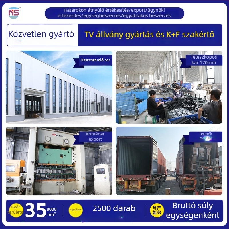 NS-PT002 Fali forgatható TV-tartó, anyaga: hidegen hengerelt acél, kompatibil plazmatévékhez, súly 3,1 kg
