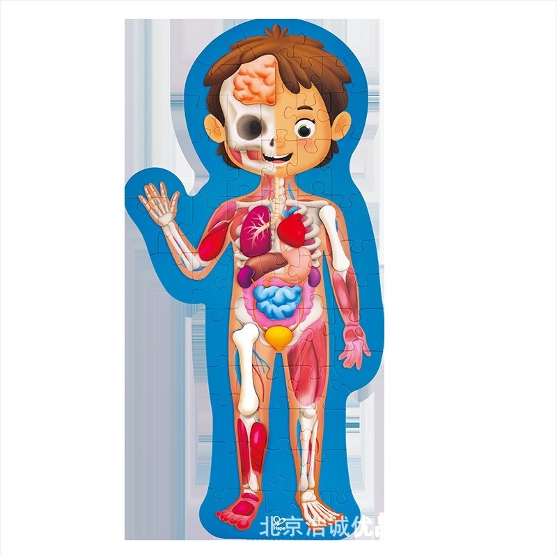 Hape sík puzzle - papíralapú oktatási játék 4–6 éves gyermekek számára