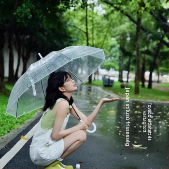 Hosszú fogantyújú esernyő vas bordákkal és tengellyel, műanyag kupolával, manuális nyitás, félautomata zárás, logó nyomtatásának lehetősége