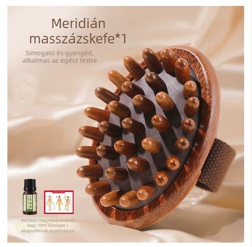 Kézi camforfa-erdő meridián masszázs fésű — szülés utáni hasi fogyasztó készülék, egész test meridián átjárhatóság
