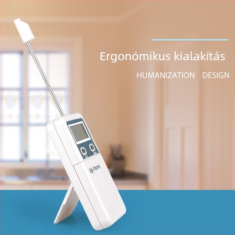 Wt-2 többfunkciós digitális szondás hőmérő grillsütőhöz, sütéshez és olajhőmérséklethez – Xuzhou, Kína; konyha és laboratóriumi használatra