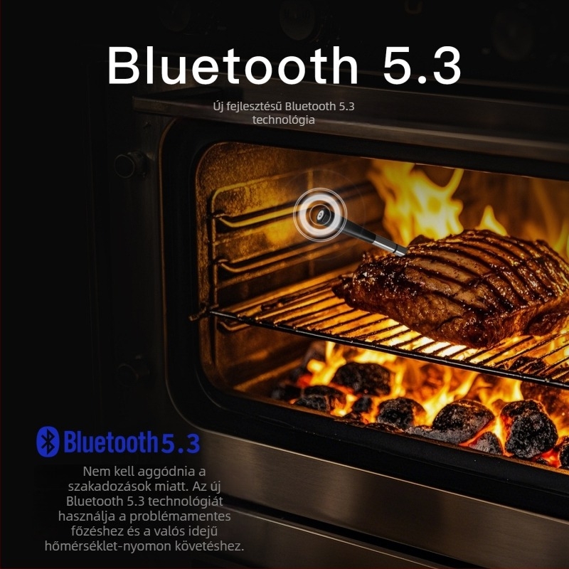 Bluetoothos vezeték nélküli hús hőmérő BBQ-hoz és konyhához – 0.1°C felbontás; szonda -10°C-tól 100°C-ig; kerámia vég -10°C-tól 300°C-ig