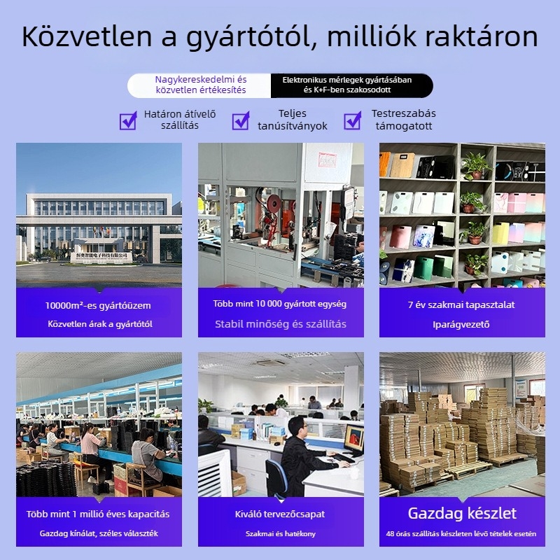 Elektronikus testsúly- és testzsírmérő, intelligens funkciókkal, LCD kijelző, érintéses működés, edzett üveg, 180 kg kapacitás (akku/újratölthető)