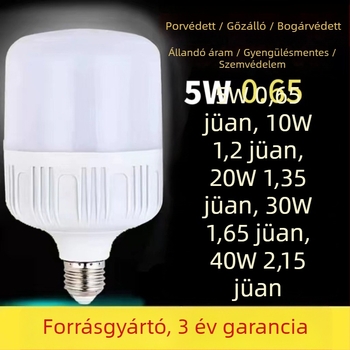 LED-lámpa E27 foglalattal, 220V, IP43 védelem, élettartam 100000 óra