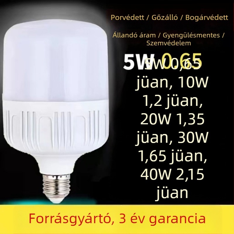 LED-lámpa E27 foglalattal, 220V, IP43 védelem, élettartam 100000 óra