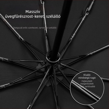 Automata napernyő napozáshoz, 10 bordával, vas váz és vas nyél, vinil 280T anyag