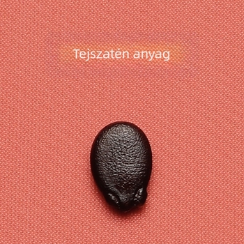 Little Bear Hall egérpad csuklótámasz‑kal – Szilikon és szövet, egyoldalas, logó hőtranszferrel, 270×180×20 mm