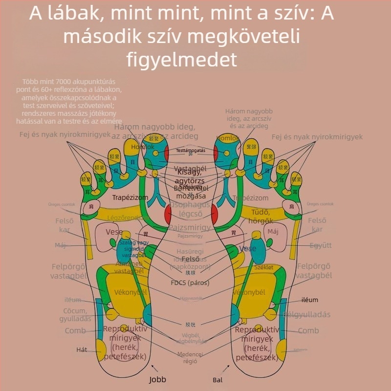 Lábmasszázs papucs akupunktúrás pontmasszázzal, USB/AC tápellátás, vezetékes kézi vezérlés, mechanikus működés