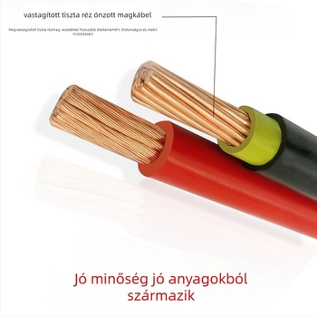 Demda 12V/24V intelligens pulzusjavító autó akkumulátor töltő, Lead-Acid, DC200 sorozat, 2 rekesz, 5A/10A/20A, FCC CE ROHS