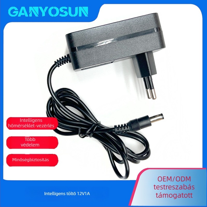 Ólom-savas és lítium akkumulátorokhoz való töltő, DC 12V 1A kimenet, bemenet AC 100-240V, CE/FCC tanúsítvány