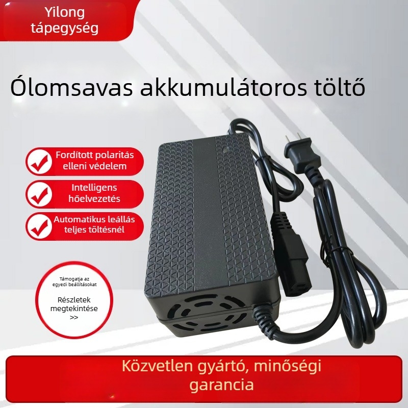 Elektronikus jármű akkumulátortöltő – Yilong, kimenet 24V DC, bemenet 110–240V AC, 50/60 Hz