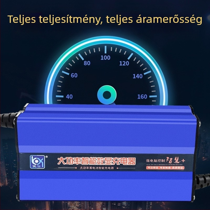 Akkumulátor töltő Youxin Electric Appliance, bemenet 80-260V, kimenet 15V, CE tanúsítvány