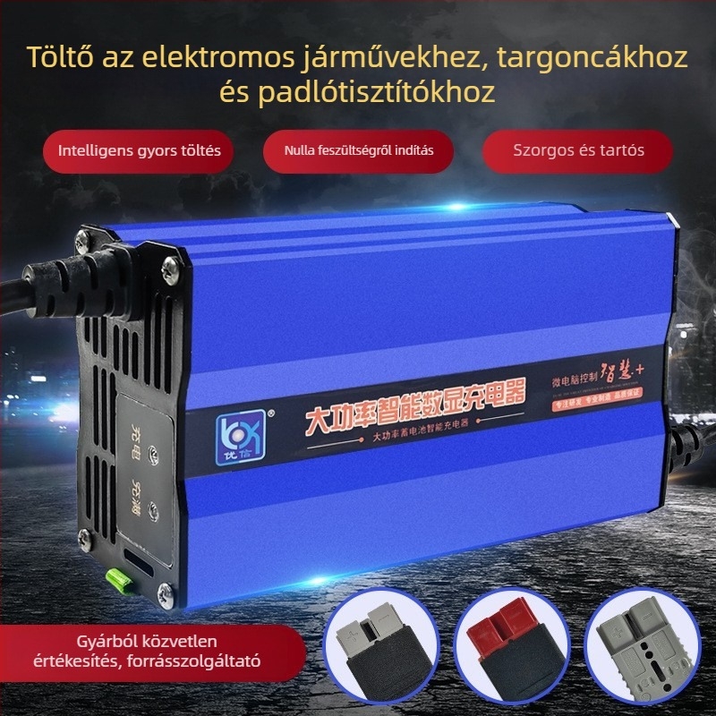 Akkumulátor töltő Youxin Electric Appliance, bemenet 80-260V, kimenet 15V, CE tanúsítvány