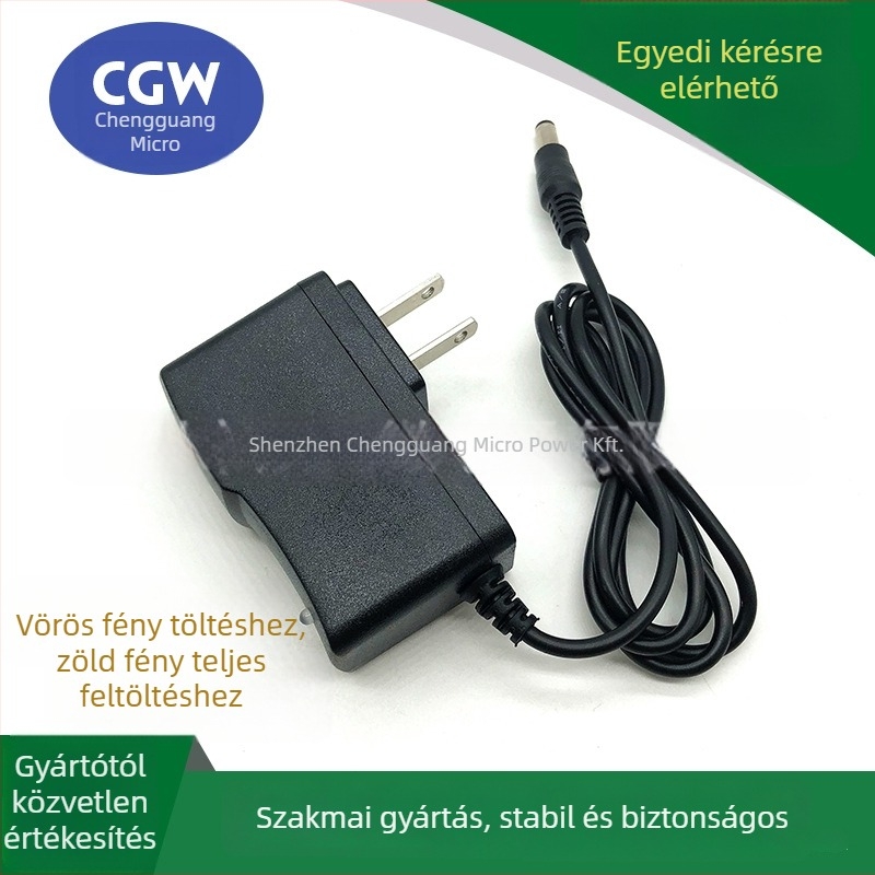 Melegített talpbetétek és meleg kesztyűk kettős fejű Li-ion akkumulátor töltővel, 7.4V/8.4V, 8.4V 1A, 220V CE