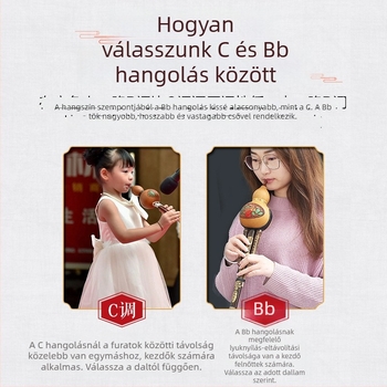 Polygonum Wind Hulusi, bambusz anyag, modell Gourd Silk, dobozolt csomagolás