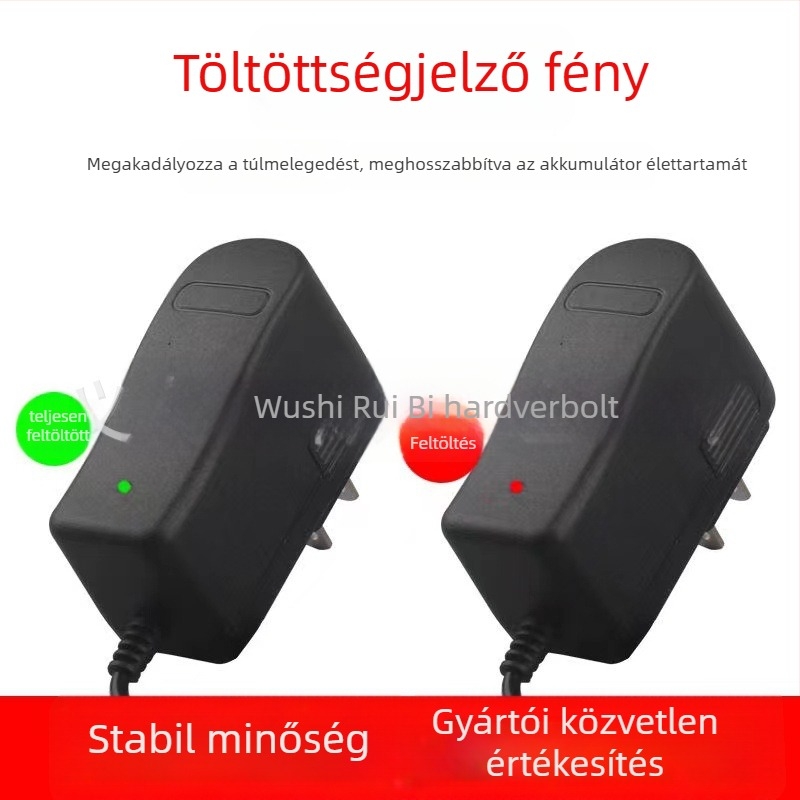 Beston Level töltő akkumulátoros szintmérőkhöz, Level Charger sorozat, Bemenet 5, Kimenet 2