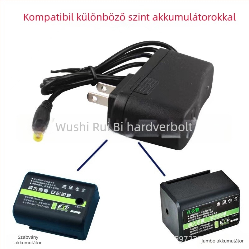 Beston Level töltő akkumulátoros szintmérőkhöz, Level Charger sorozat, Bemenet 5, Kimenet 2