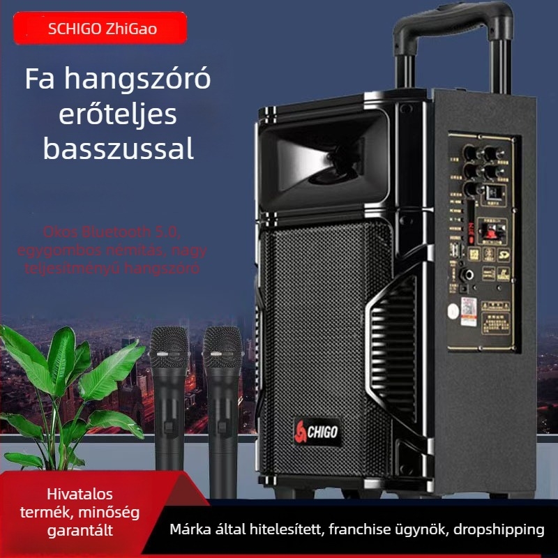 Chigo Bluetooth karaoke hangfal – nagy hangerő, fa burkolatú ház, hordozható kültéri hangfal square dance-hez, 20W, otthoni használatra
