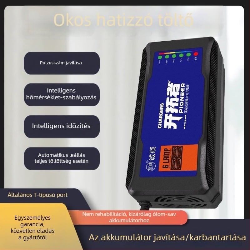 Elektromos jármű töltő automatikus kikapcsolással és impulzusjavítással – DC kimenet 60V, 20A, AC bemenet 220V, akkumulátorhoz, Chengshuo márka