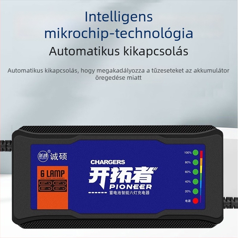 Elektromos jármű töltő automatikus kikapcsolással és impulzusjavítással – DC kimenet 60V, 20A, AC bemenet 220V, akkumulátorhoz, Chengshuo márka