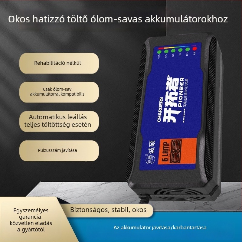 Elektromos jármű töltő automatikus kikapcsolással és impulzusjavítással – DC kimenet 60V, 20A, AC bemenet 220V, akkumulátorhoz, Chengshuo márka