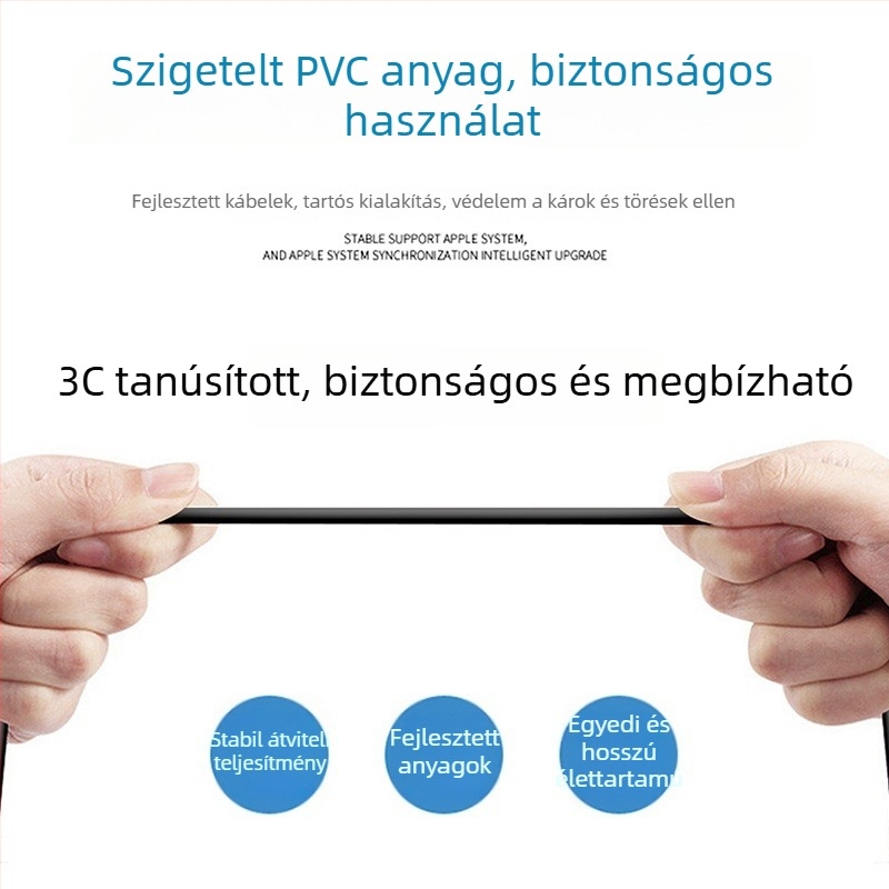 Elektromos jármű töltő automatikus kikapcsolással és impulzusjavítással – DC kimenet 60V, 20A, AC bemenet 220V, akkumulátorhoz, Chengshuo márka