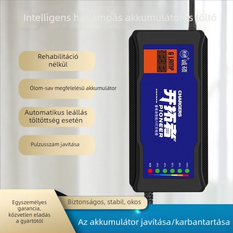 Elektromos jármű töltő automatikus kikapcsolással és impulzusjavítással – DC kimenet 60V, 20A, AC bemenet 220V, akkumulátorhoz, Chengshuo márka