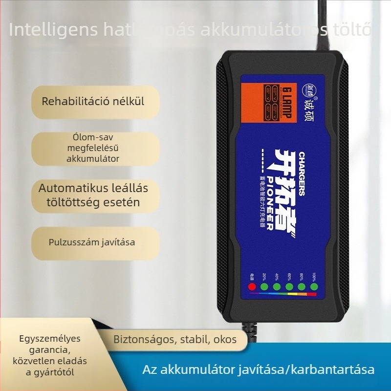 Elektromos jármű töltő automatikus kikapcsolással és impulzusjavítással – DC kimenet 60V, 20A, AC bemenet 220V, akkumulátorhoz, Chengshuo márka