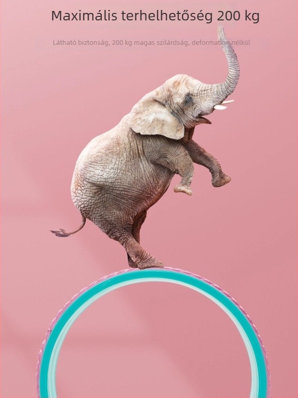 Nyitott hátú jóga kerék – hátba hajlításhoz, kezdőknek, jóga felszerelés, PP anyag, márka Shaking of the Ground