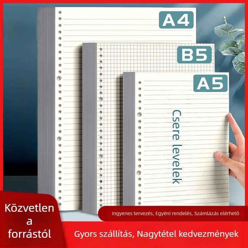 Szabad levél töltőpapír, 60 lap, dupla offset papír, kompatibil 8/20/26/30 lyukkal