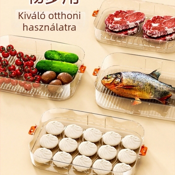 Hűtőbe szánt dumpling tároló doboz — élelmiszer-minőségű műanyag, egyszerű stílus, gyorsfagyasztáshoz