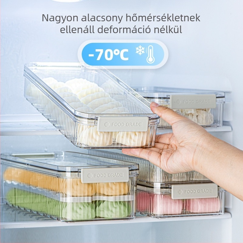 Dumpling tároló doboz – műanyag, egyszerű és modern kialakítás, hordozható; testreszabás elérhető; logó nyomtatása elérhető