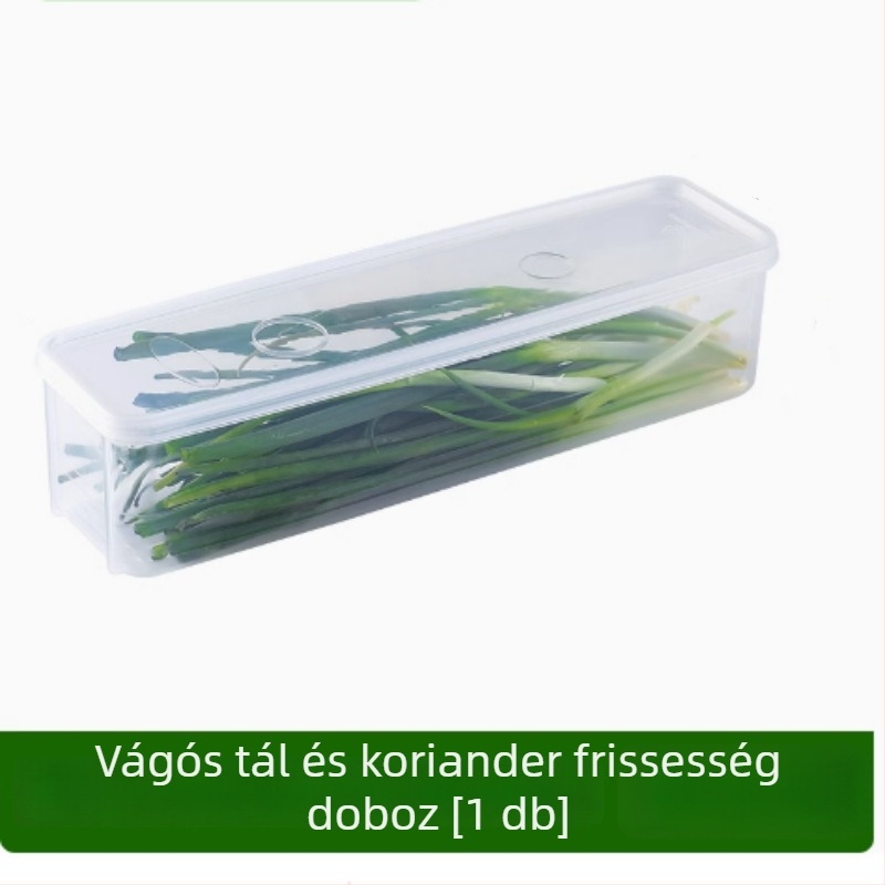 Műanyag tároló doboz, zárható, frissesség megőrzése, egyszerű modern stílus, modell 1