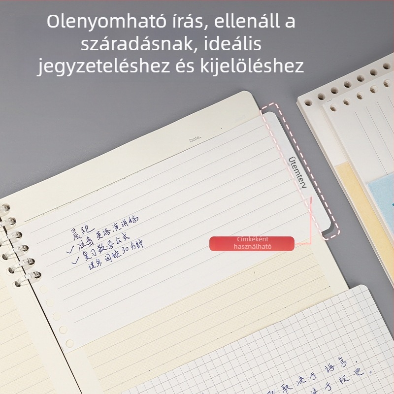 Loose-leaf refill N4880 – 80 oldal, 9 lyuk, 48K, négyzetes rács üres papír