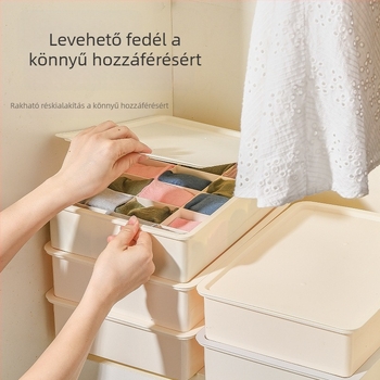 Műanyag fehérnemű- és zokitároló doboz rekeszekkel