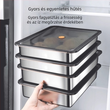 Rozsdamentes acél téglalap alakú élelmiszer-tároló doboz, zárható, kapacitás 3,1–4 L, hordozható