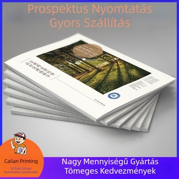 Promóciós brosúra bevonatos papírra nyomtatva, gravírozó nyomtatás, 24‑nyitott formátum, ragasztott kötés, logó nyomtatás