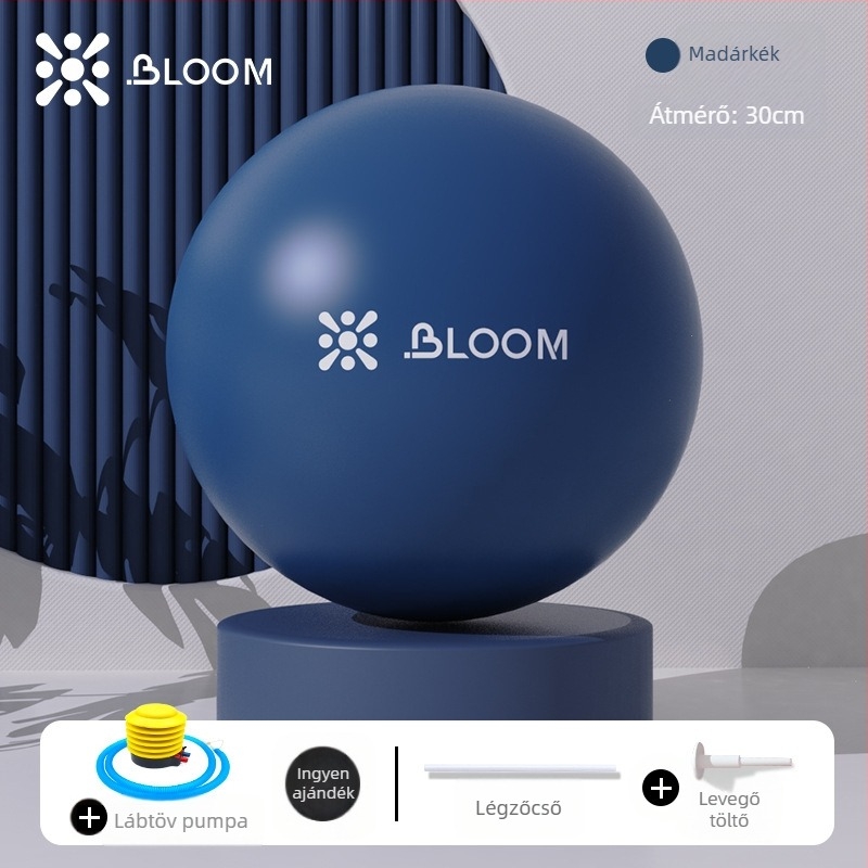 ABS anyagú jóga labda, megerősített, robbanásbiztos kivitelben, csípő formázására és medencealapi izmok edzésére – Pilates labda